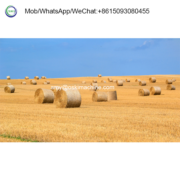 Automatische Silage-Ballenpres – Silage Baler Machine Bewertung und Preis