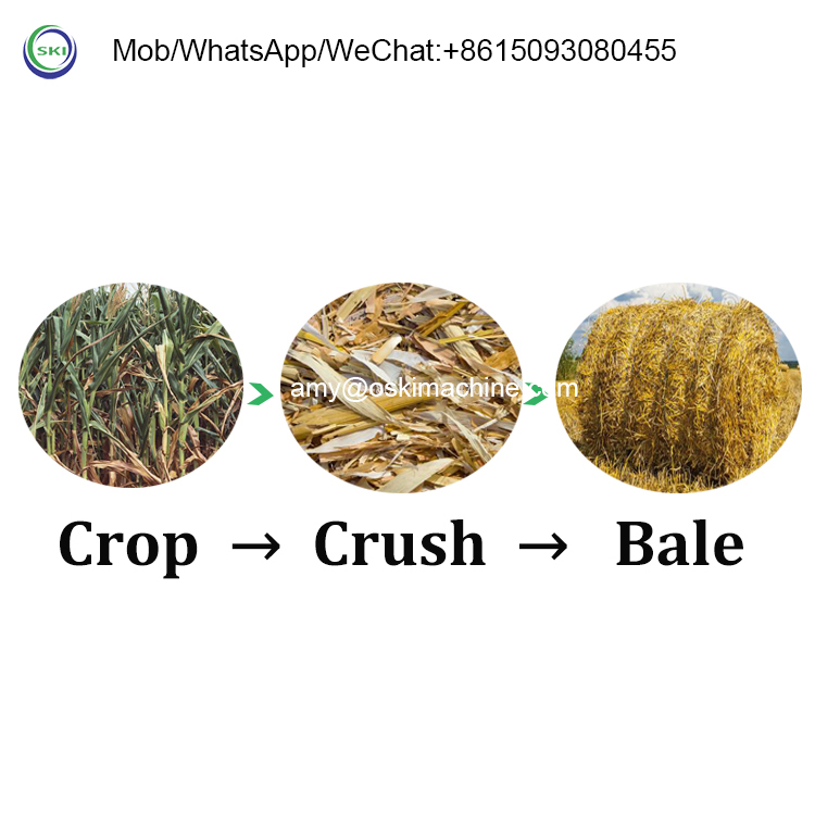 Automatische Silage-Ballenpres – Silage Baler Machine Bewertung und Preis